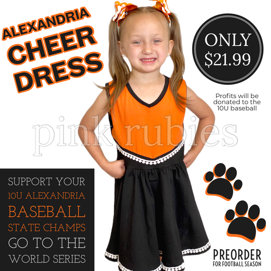 Support your 10U Alexandria Baseball State Champs